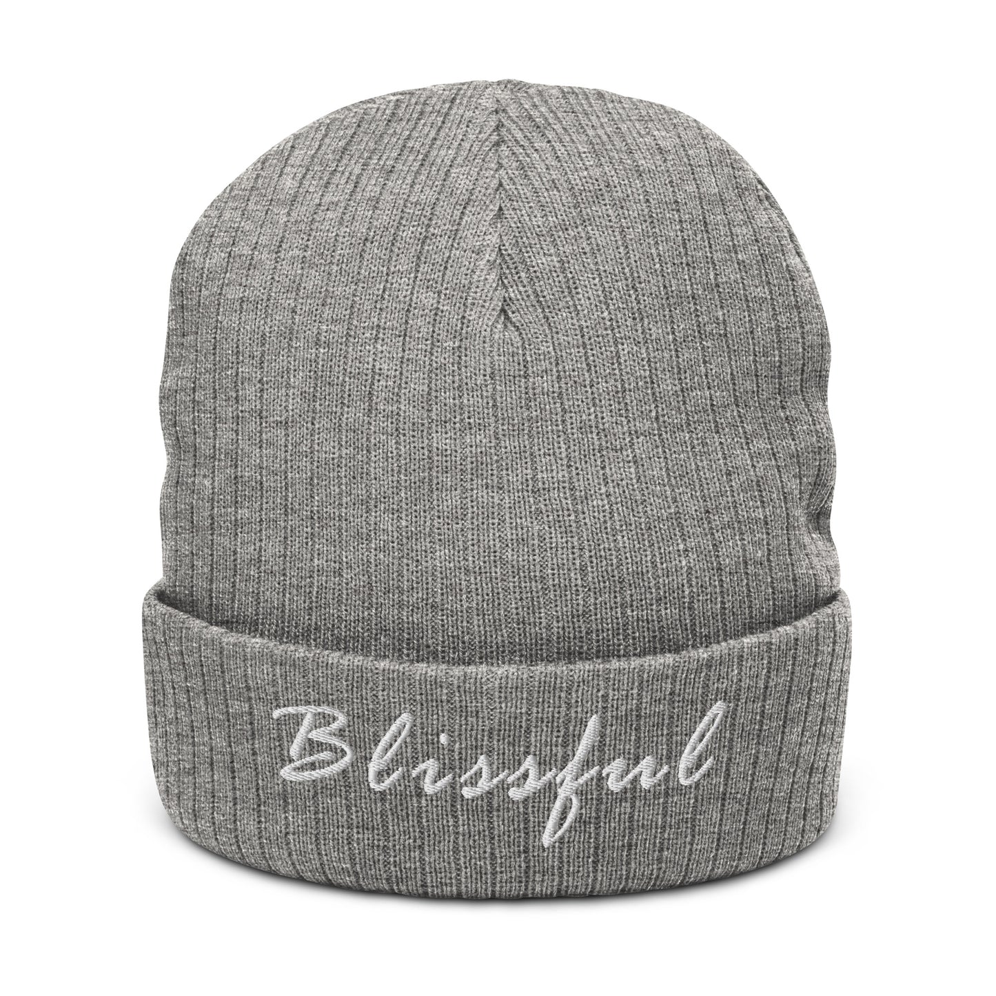 Blissful Ribbed Knit Beanie