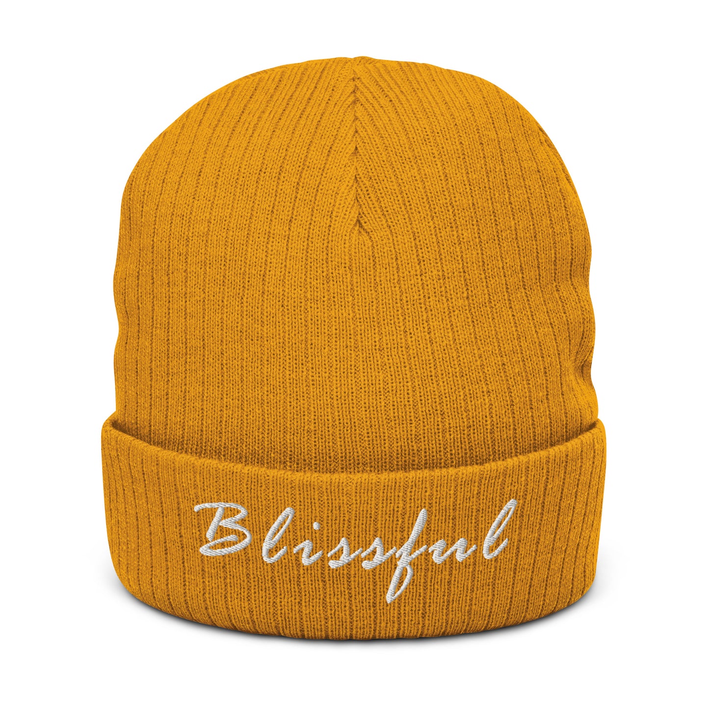Blissful Ribbed Knit Beanie