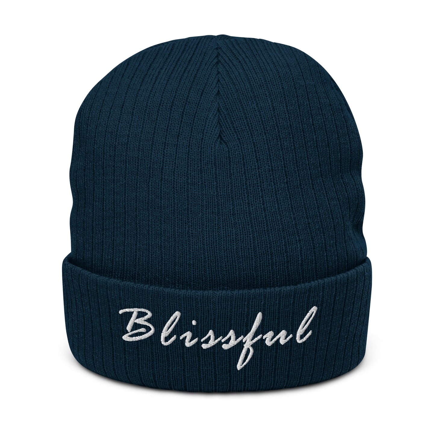 Blissful Ribbed Knit Beanie