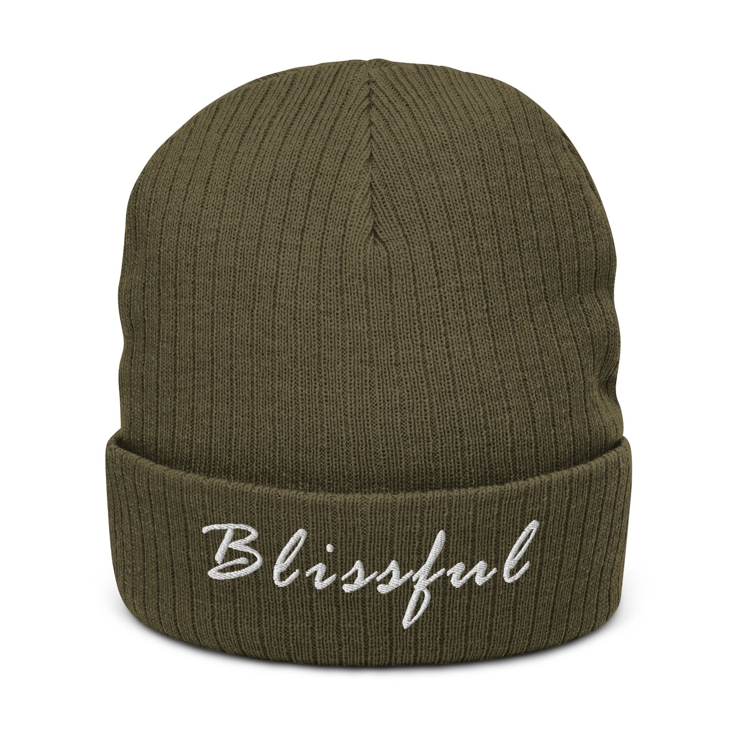 Blissful Ribbed Knit Beanie