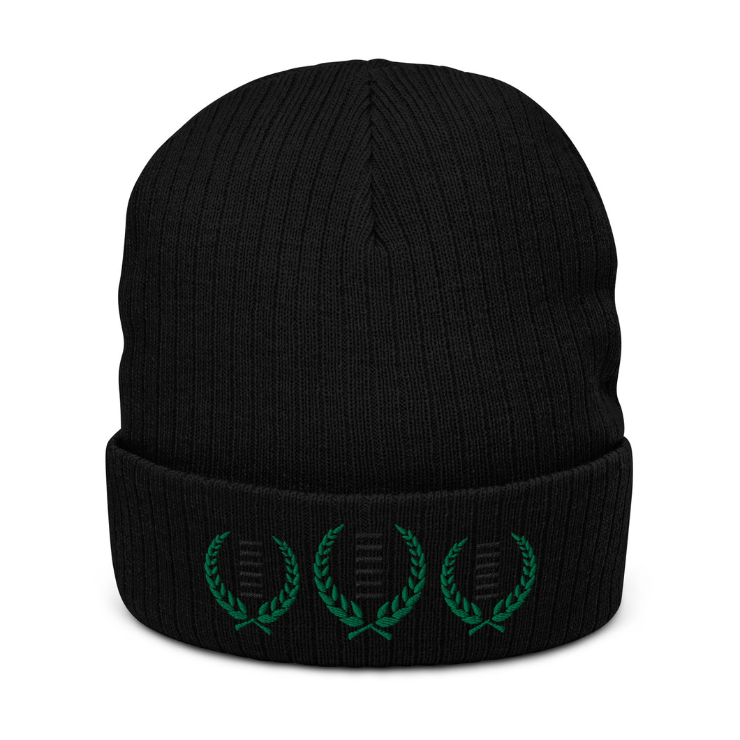 Crown Of Heaven Ribbed knit beanie